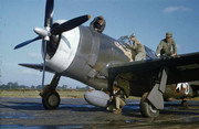 https://s26.postimg.cc/vlxqufkxh/P-47_Thunderbolt_flown_by_Captain_Johnson.jpg
