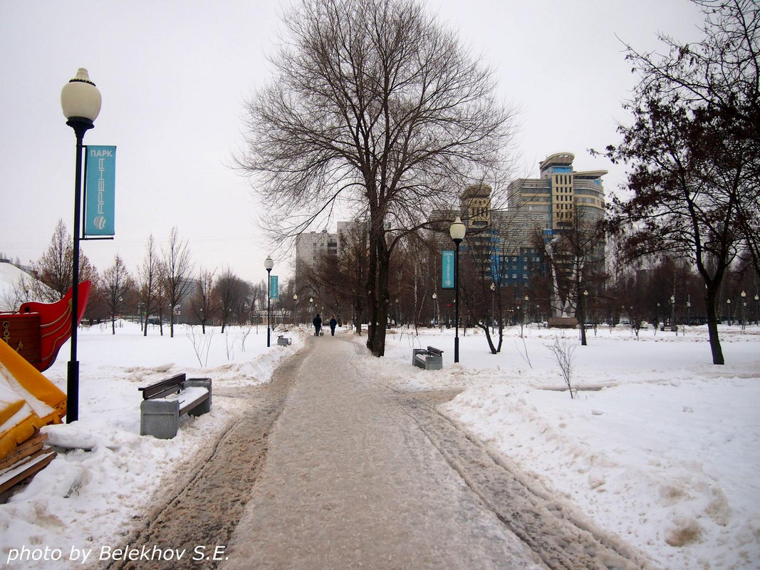 Парк динамо москва фото