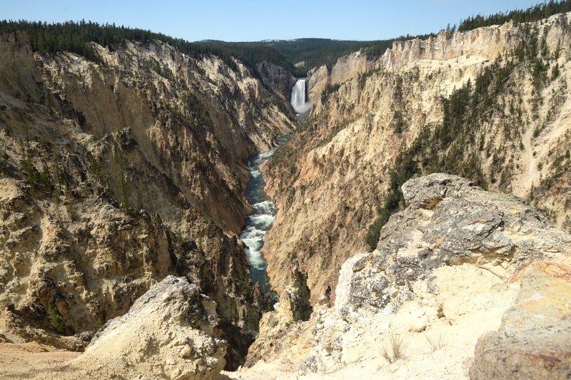 Yellowstone (7-11 de agosto) - De Grand Canyon a Yellowstone - Medio Oeste USA (2016) (43)