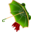 Glen_Umbrella_sept.png