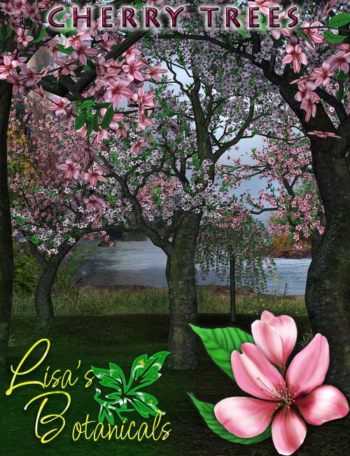 Lisa’s Botanicals – Cherry trees