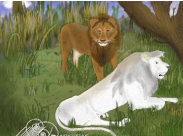 white male lion & regular male lion in African savanna painting