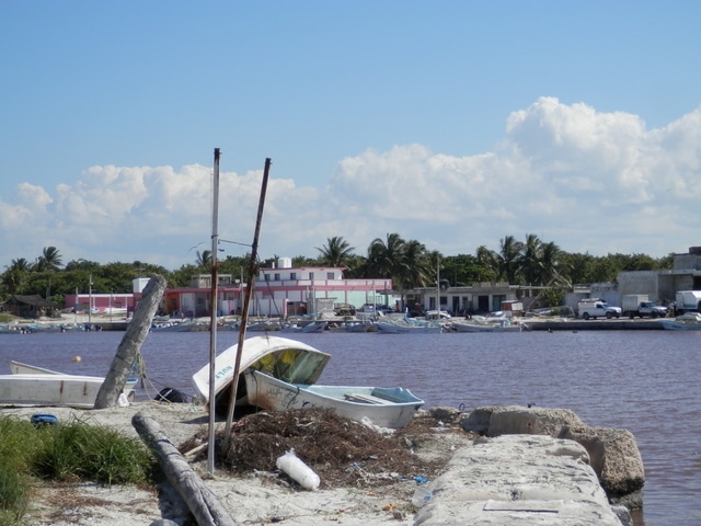 21 días por Yucatán para iniciados (en construcción) - Blogs de Mexico - El Cuyo. El tesoro escondido de la Costa Esmeralda. (13)